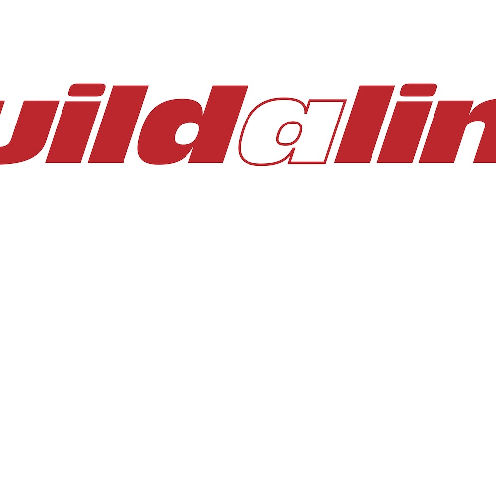 Buildaline Logo